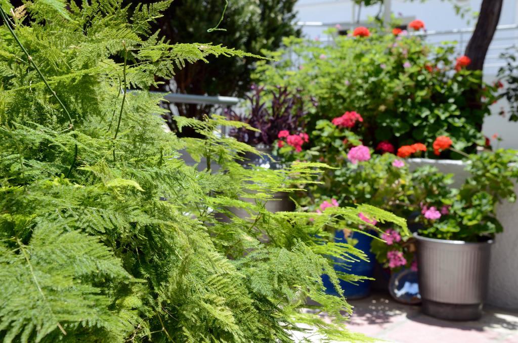 Marianna Hotel Tigaki Dış mekan fotoğraf